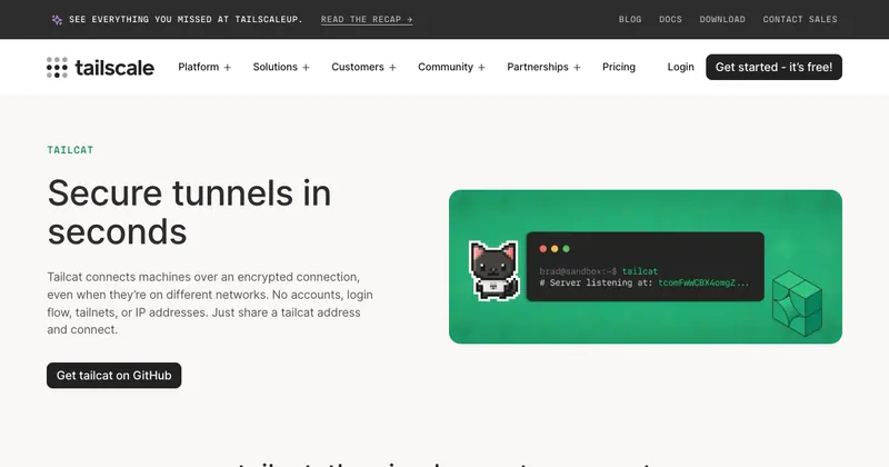 The Tailcat website